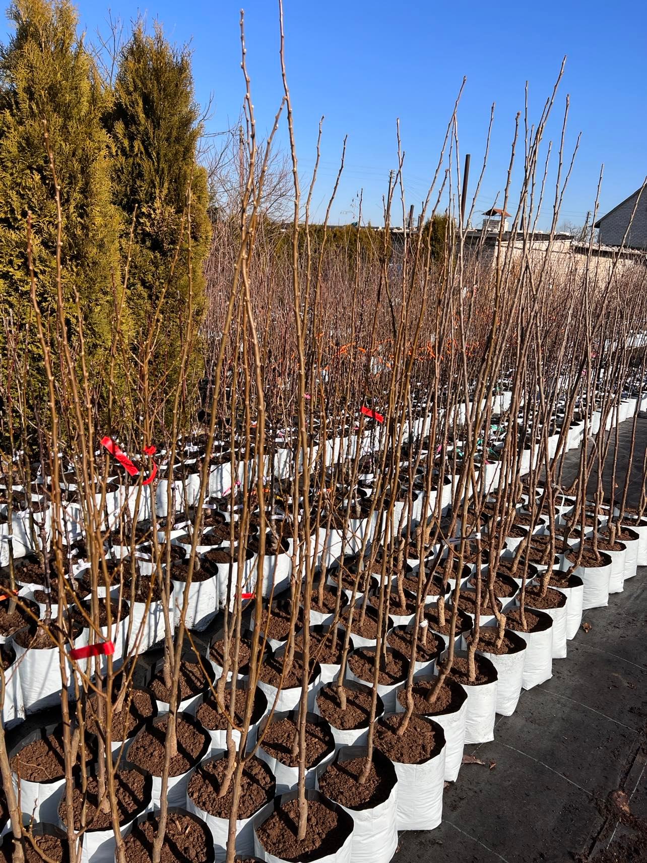 275583693_681206229968036_7967473716427293326_n